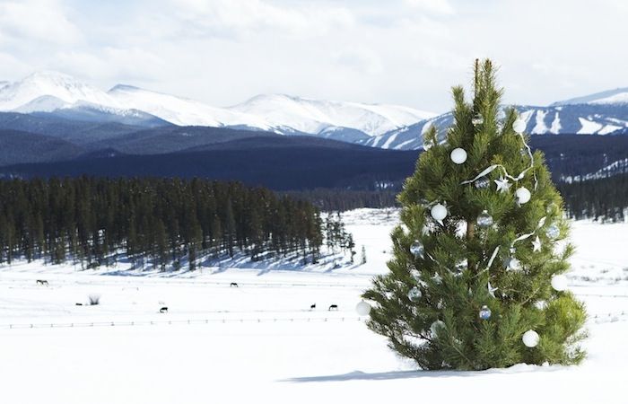 Christmas tree