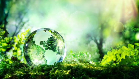 Globe-in-greenery-shutterstock_274566236-530x300.jpg