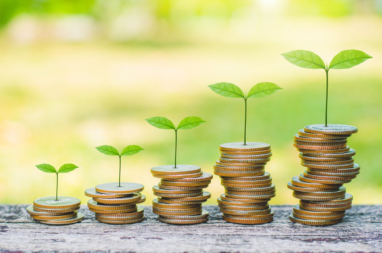 iStock-1151815644.jpg