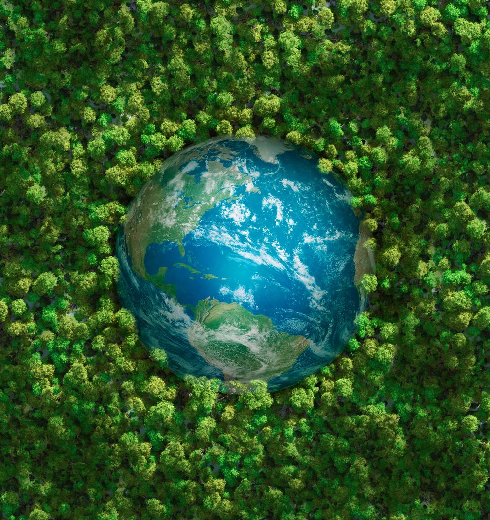 iStock-154932922.jpg